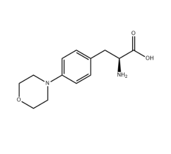 美法仑EP杂质B