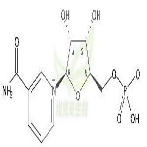 β-烟酰胺单核苷酸