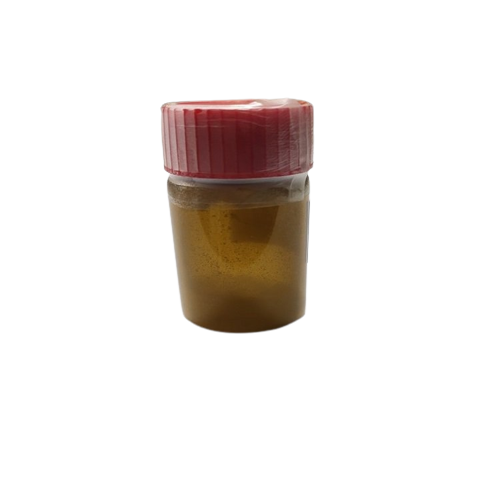 Amylo-Glo 淀粉样斑块特异性染色试剂盒