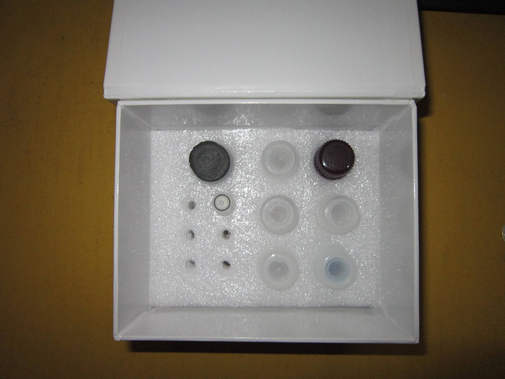 蛋白A ELISA试剂盒