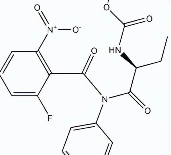 A/B/O型红细胞定制