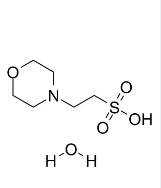 2-(N-吗啉)乙磺酸一水物
