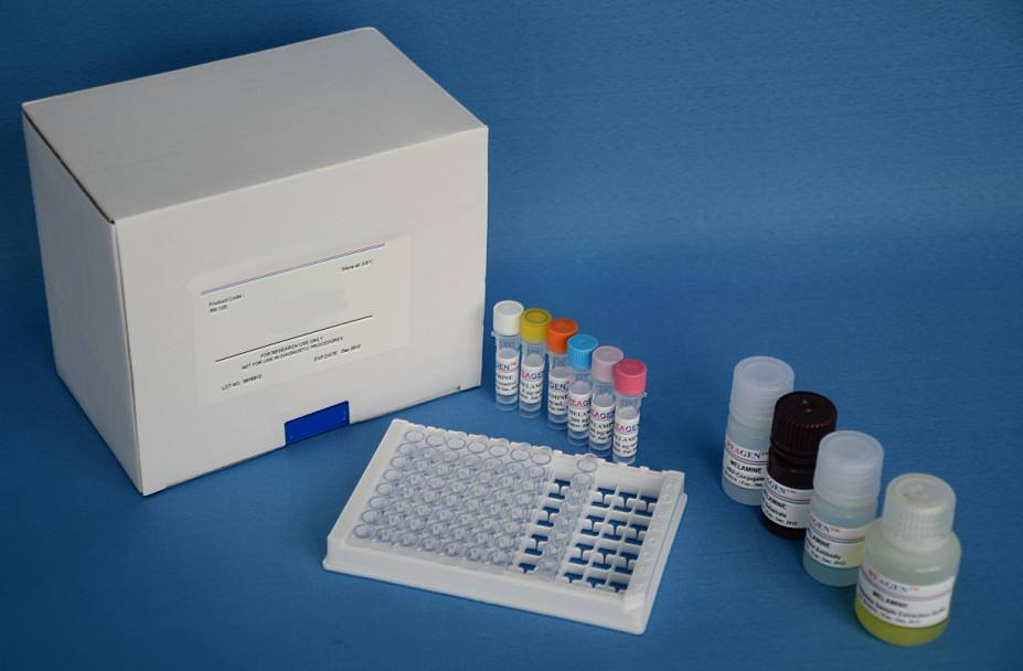单克隆抗体分型试剂盒