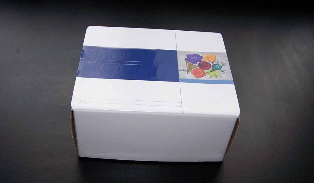 iFluor 594蛋白质标记试剂盒,每次可标记100ug抗体