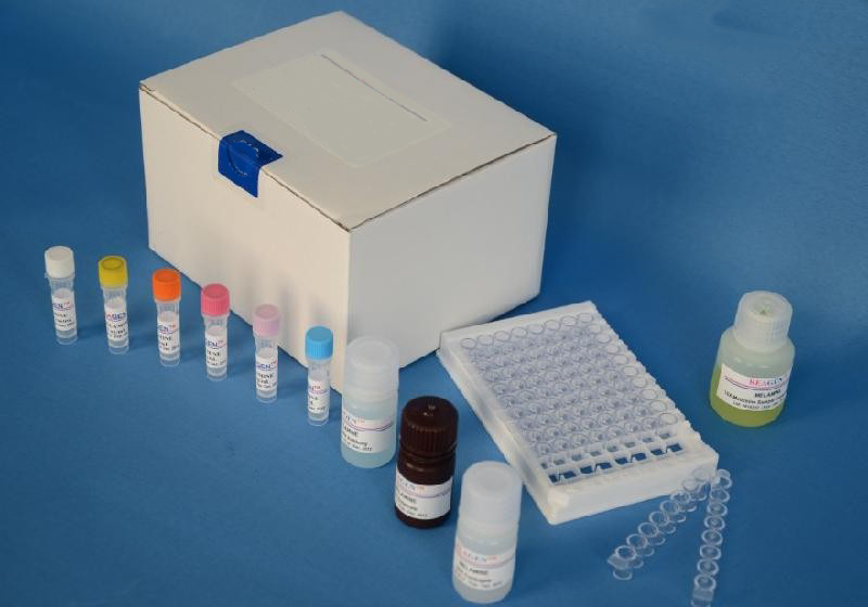荧光法赖氨酰氧化酶检测试剂盒,红色荧光