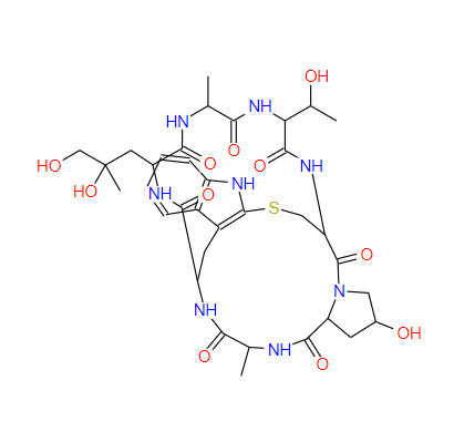 鬼笔环肽-TMRE偶联物