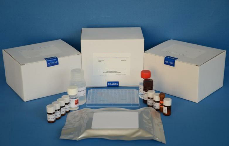 Human Chromosome 1 Open Reading Frame 56