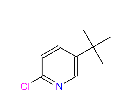 5-(叔丁基)-2-氯吡啶