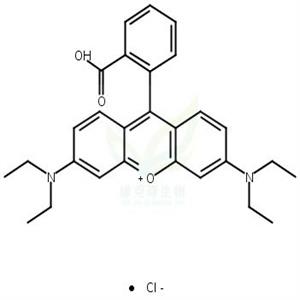 罗丹明B