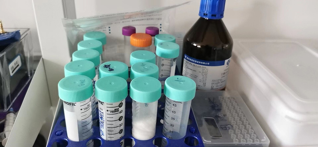 WST-8细胞增殖检测试剂盒