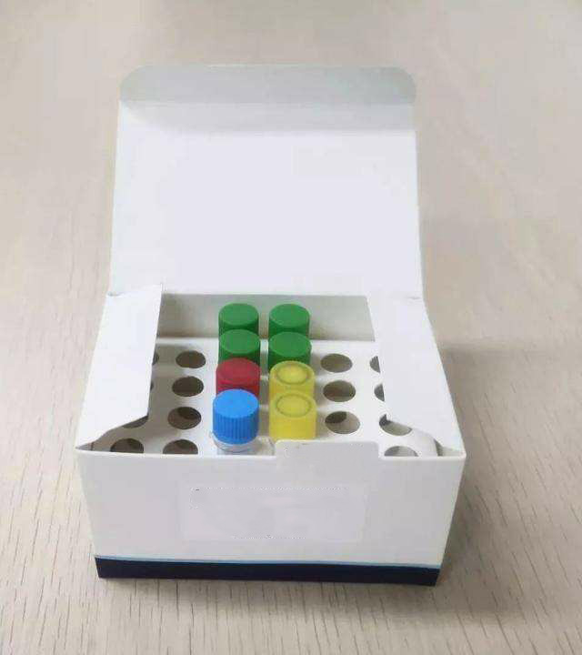 HCG ELISA试剂盒