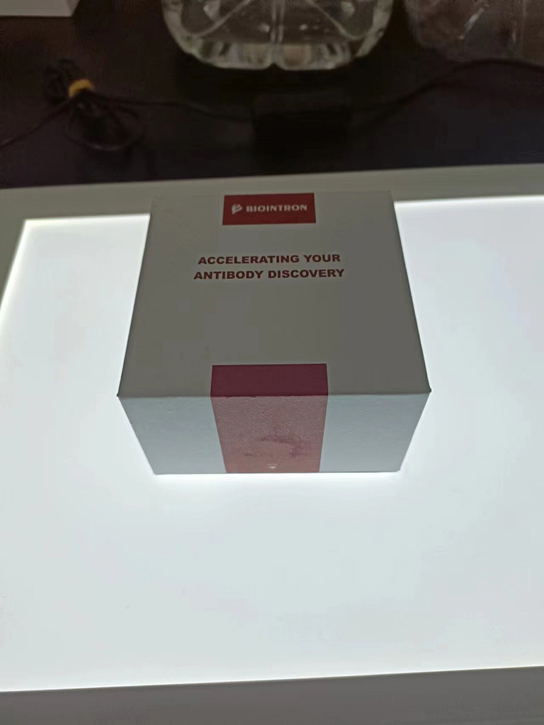 TMEM41B 多克隆抗体