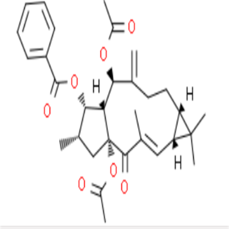 大戟因子L2