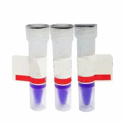 RNF157多克隆抗体（A01）