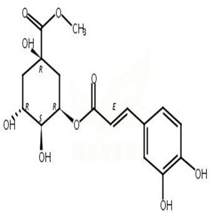 新绿原酸甲酯