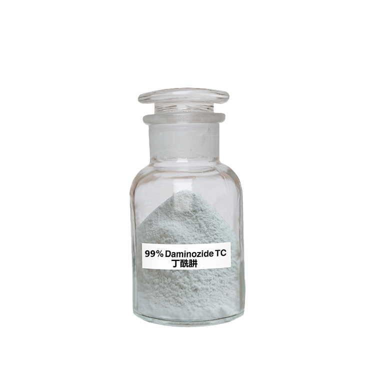 92%丁酰肼可溶性粉生产厂家