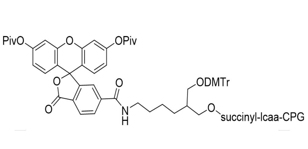 3’-(6-Fluorescein) CPG 1000