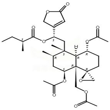 大籽筋骨草素B