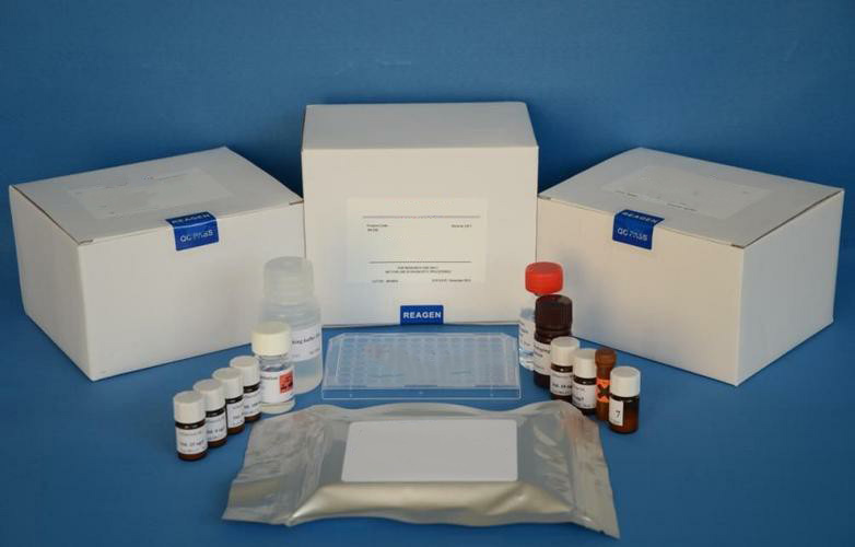 microRNA纯化试剂盒（提取试剂盒）