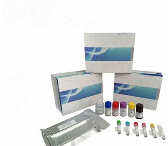 血液基因组DNA提取试剂盒（小提）
