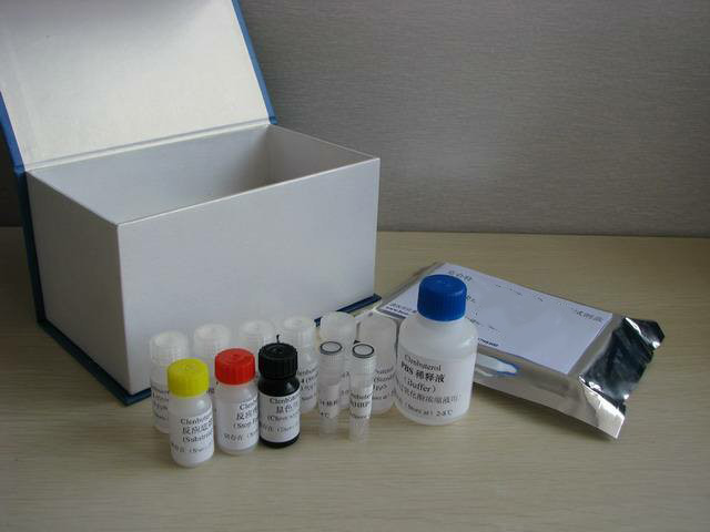 血浆/血清循环DNA提取试剂盒（中提）