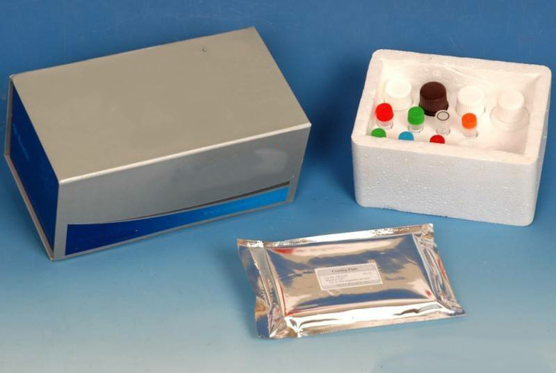 血浆/血清外泌体体纯化小提试剂盒（提取试剂盒）
