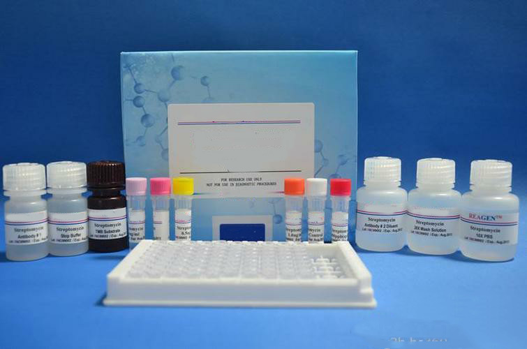 尿液外泌体纯化小提试剂盒（提取试剂盒）
