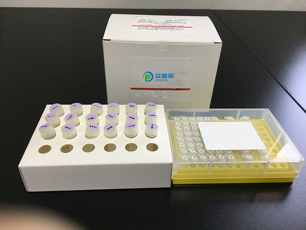 唾液DNA提取试剂盒