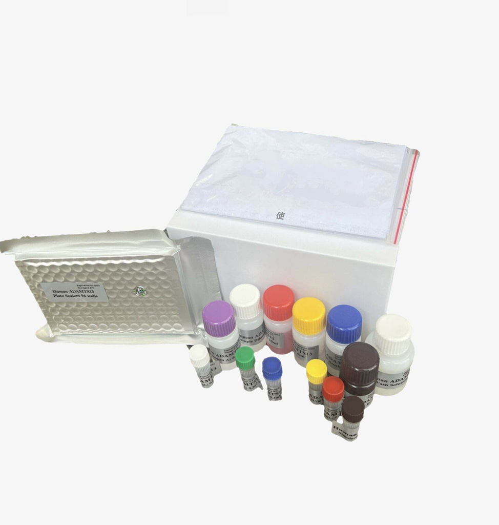 AAV纯化中提试剂盒（提取试剂盒）