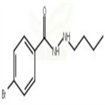 4-Bromobenzoic acid 2-butylhydrazide  537672-41-6