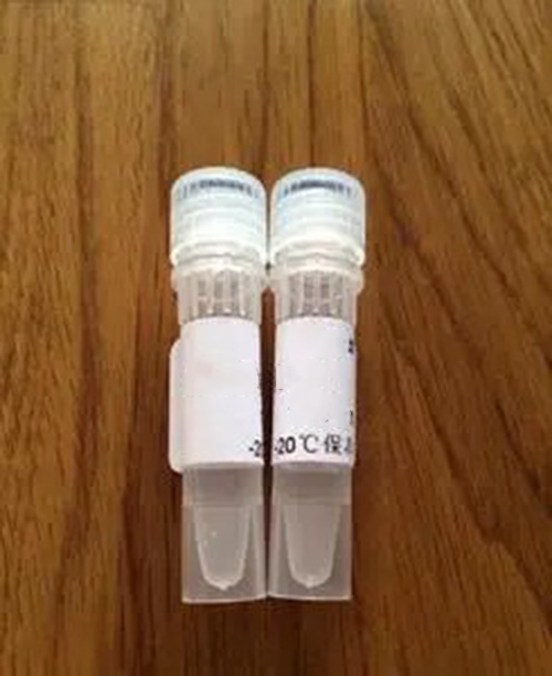 Tubulin聚合检测试剂盒（ 纯度>99% 猪脑 tubulin）