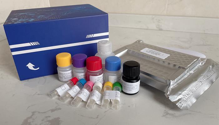 RalA G-LISA 活化检测试剂盒