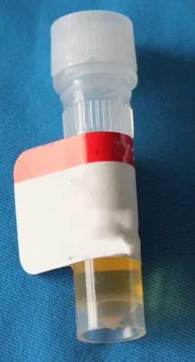 睾酮ELISA检测试剂盒-96次分析（可拆卸）