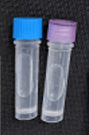 脂滴荧光检测分析试剂盒-480次分析