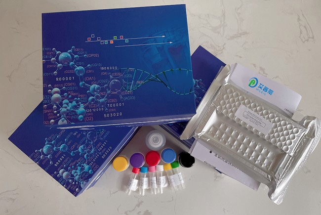 可溶性环氧化物水解酶抑制剂筛选试剂盒-96次分析