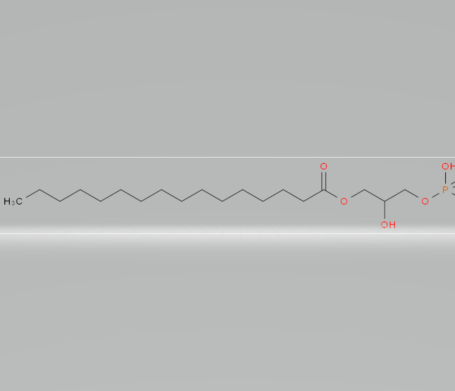 2-hydroxy-3-(phosphonooxy)propyl palmitate