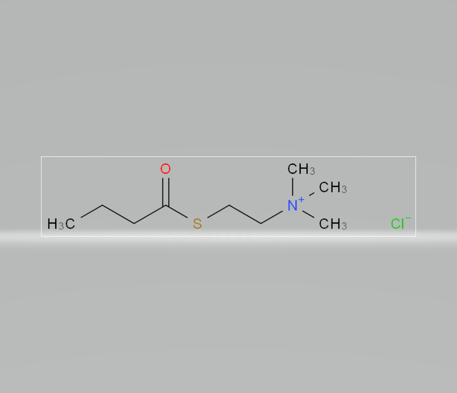 氯化-S-丁酰硫代胆碱