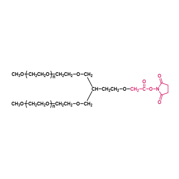 两臂聚乙二醇琥珀酰亚胺乙酸酯(PT02)