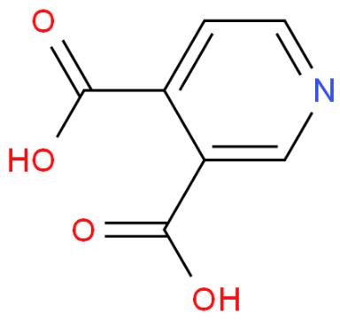 3,4-吡啶二羧酸