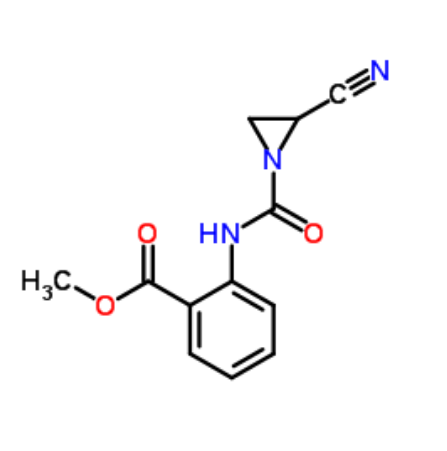氨基肽酶