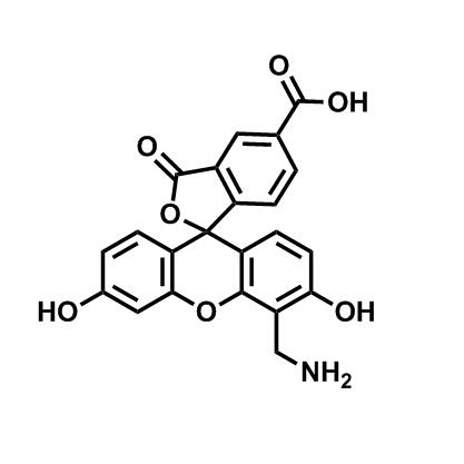 4'-氨甲基-6-羧基荧光素