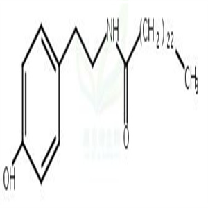 N-Tetracosanoyltyram  CAS号：113122-70-6
