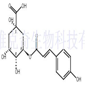 3-对香豆酰基奎宁酸