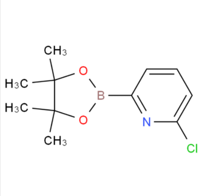 6-氯吡啶-2-硼酸频哪酯