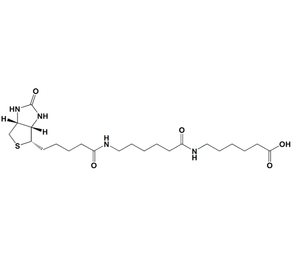 6-((6-((生物素基)氨基)己酰基)氨基)己酸