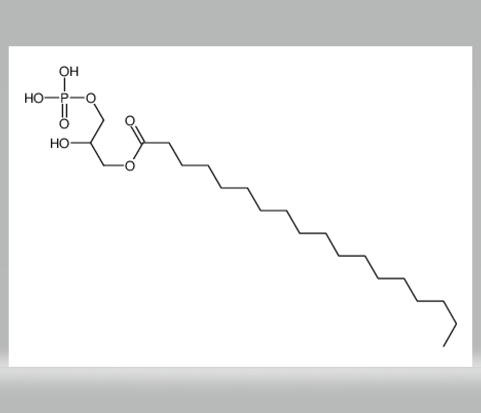 2-hydroxy-3-(phosphonooxy)propyl stearate