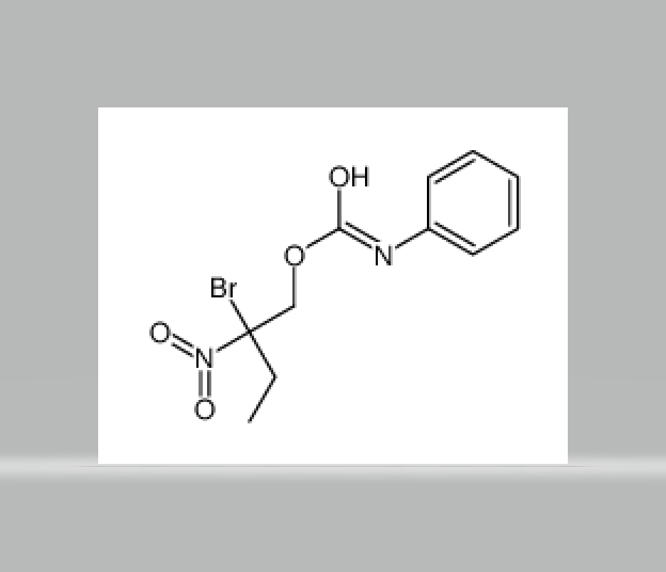 2-bromo-2-nitrobutyl phenylcarbamate