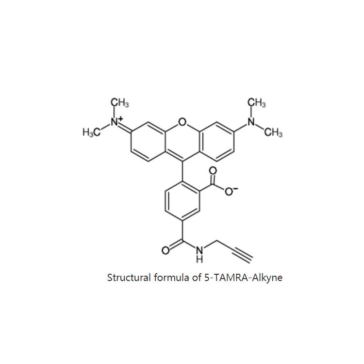 5-TAMRA alkyne|5-羧基四甲基罗丹明-炔烃|945928-17-6