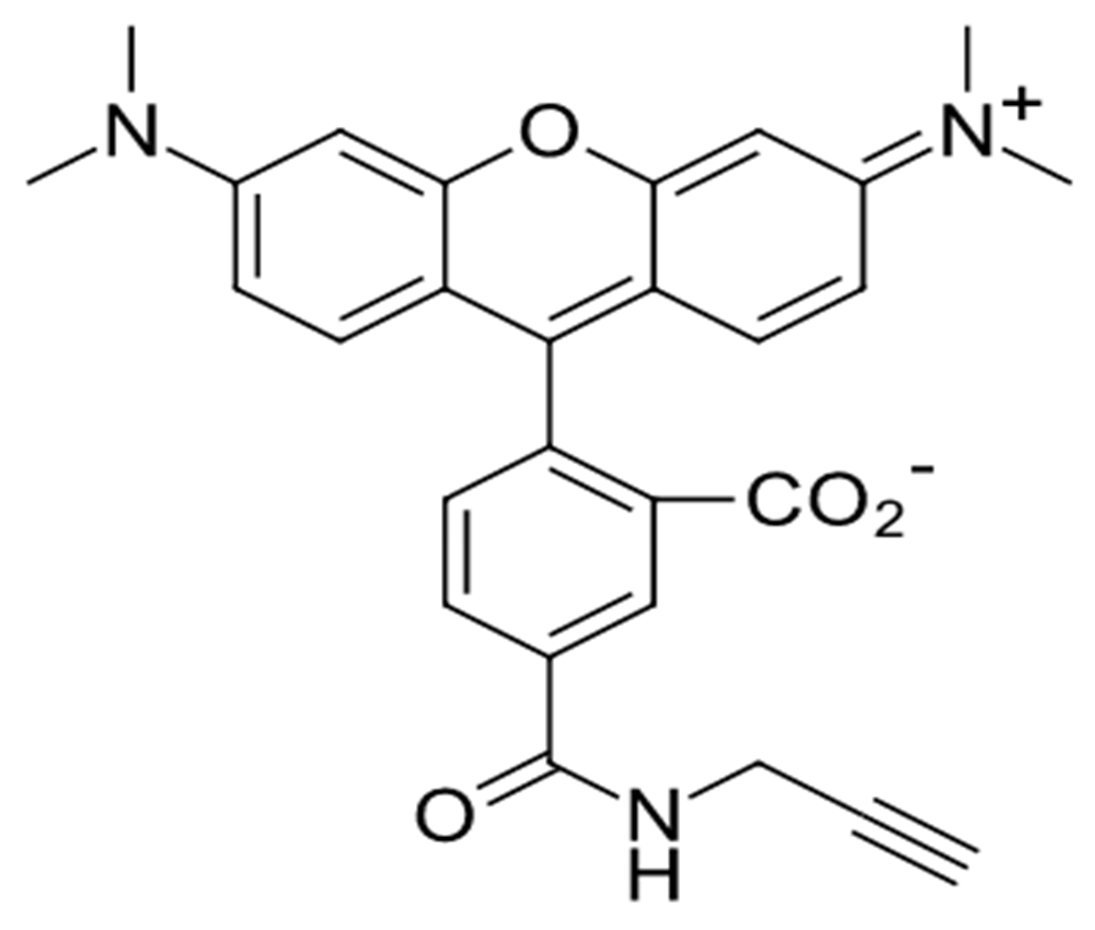 5-TAMRA alkyne|5-羧基四甲基罗丹明-炔烃|945928-17-6