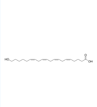 20-羟基二十碳-5Z,8Z,11Z,14Z-四烯酸